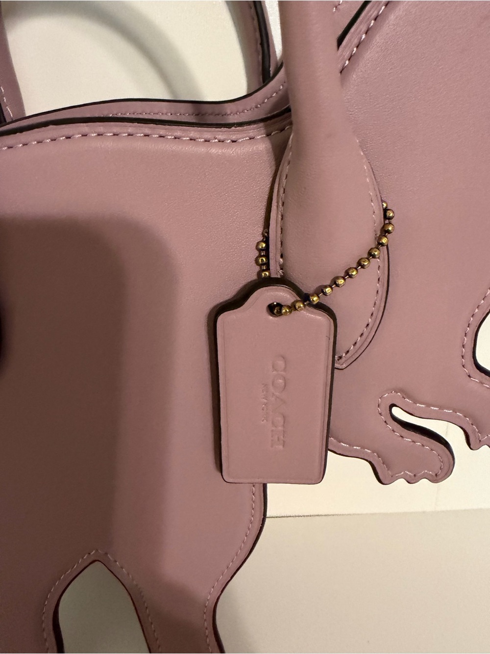 Coach Dinosaur bag - Picture 2 of 6